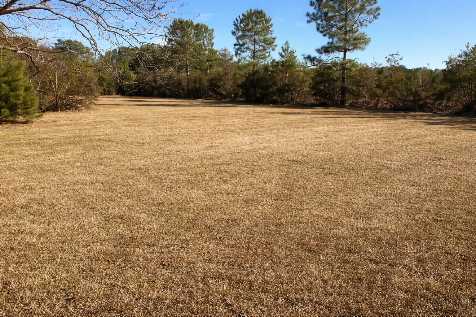 Well-maintained residential lawn and landscaping